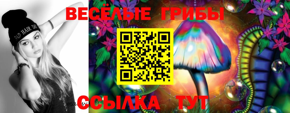Нижнеудинск  Псилоцибиновые грибы мухоморы  Вход с VPN 
